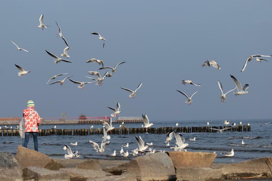 Auszeit Am Haff Ferienhaeuser Vogelsang-Warsin Dış mekan fotoğraf